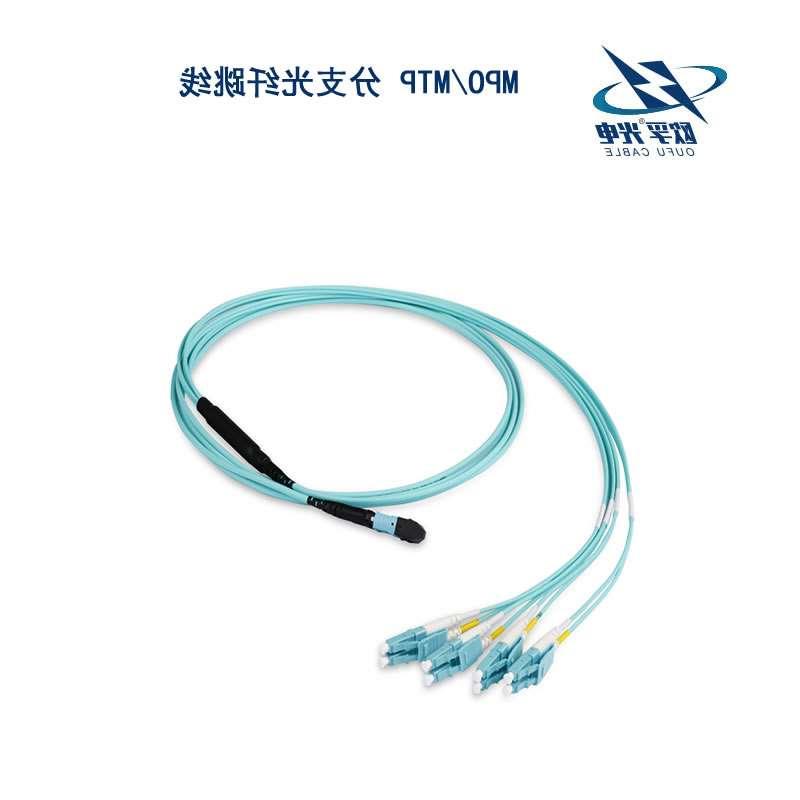海南藏族自治州MPO/MTP 分支光纤跳线