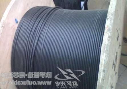 贵州12芯GYXTW中心束管式光缆制作 欧孚GYXTW光缆特点
